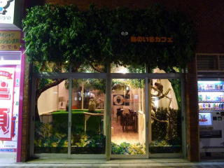 Illustration for article titled Who Thinks Japan's Owl Cafes Are a Hoot?